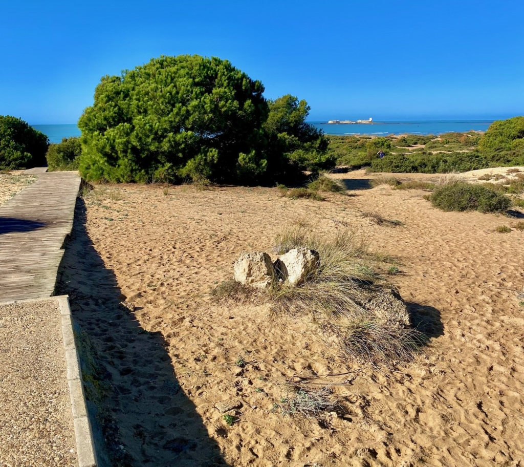 inversión inmobiliaria Chiclana de la frontera