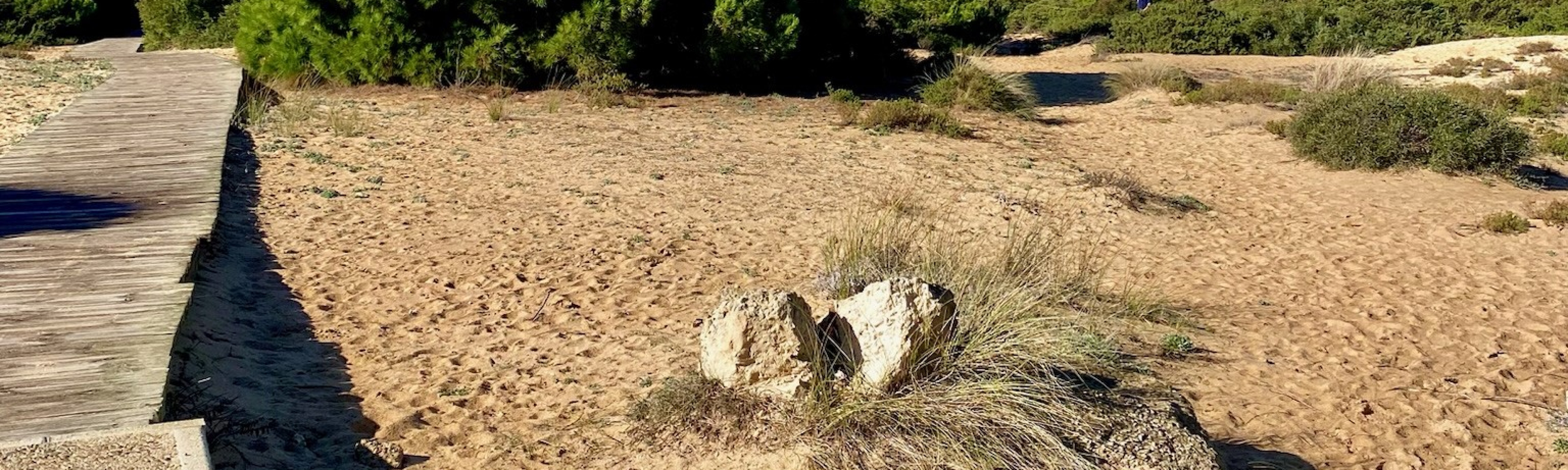 inversión inmobiliaria Chiclana de la frontera